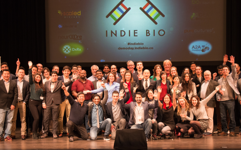 IndieBio